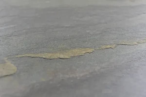 Pacific Gold · הטקסטורה מקרוב