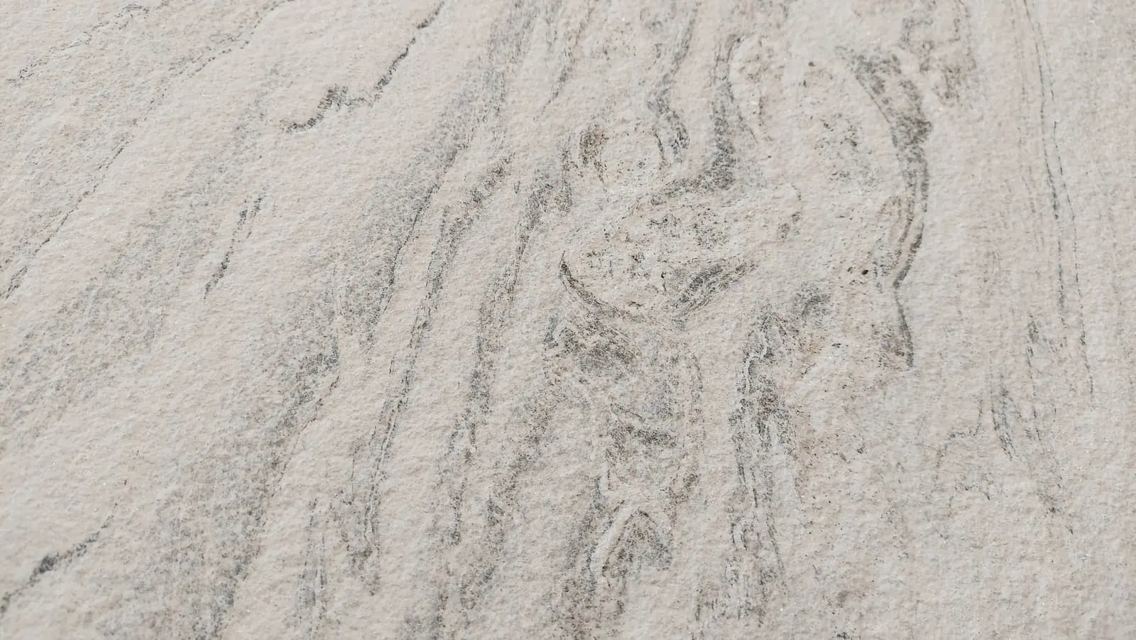 בחירת Polar Vein