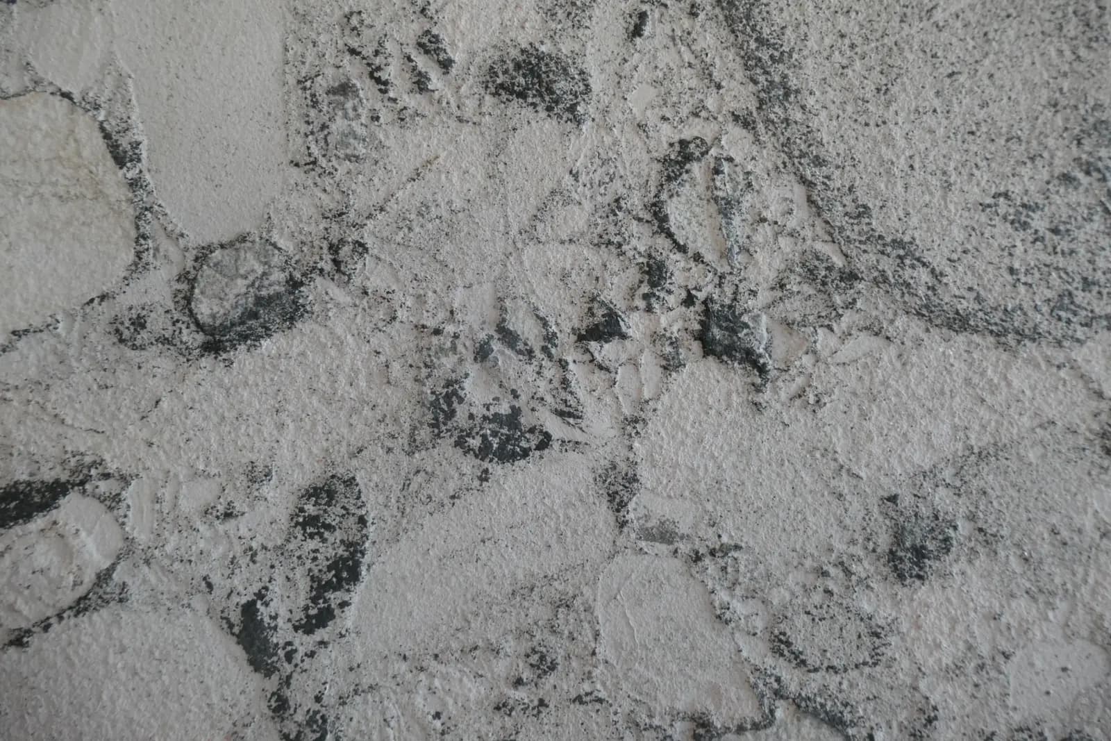 Coastal Pebble
