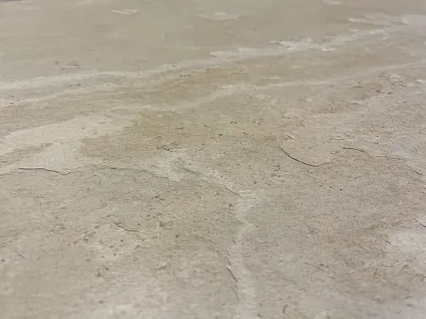 Savanna · הטקסטורה מקרוב