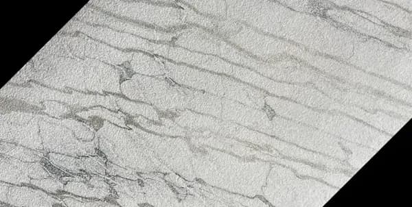 Moon Vein 45 · הטקסטורה מקרוב