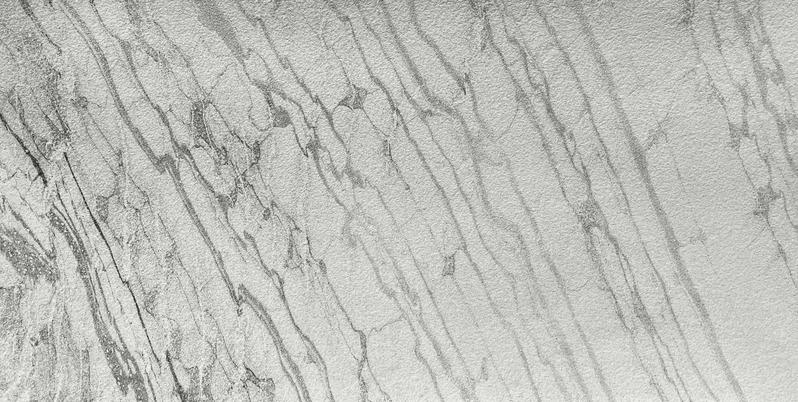 Moon Vein