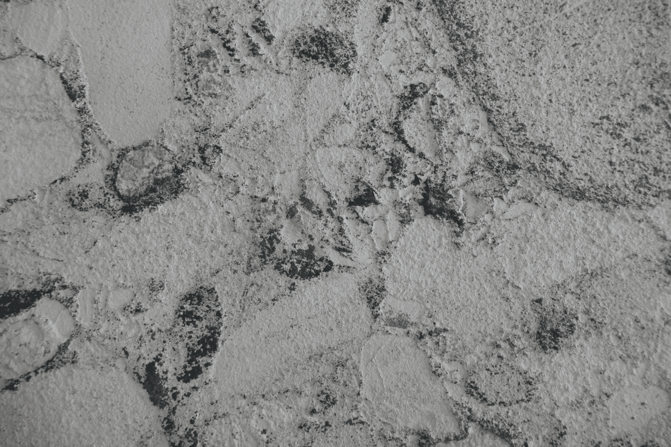 Coastal Pebble