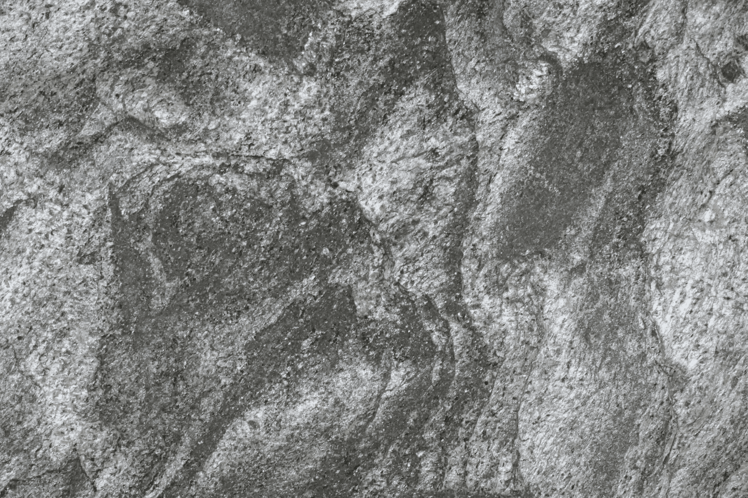 Carbon Mesh