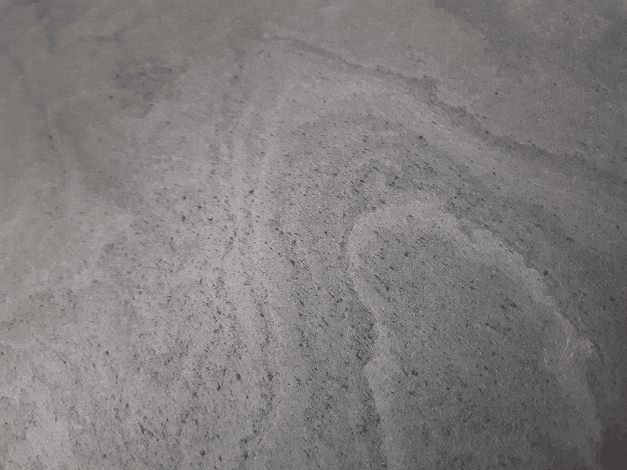 Pacific Ash