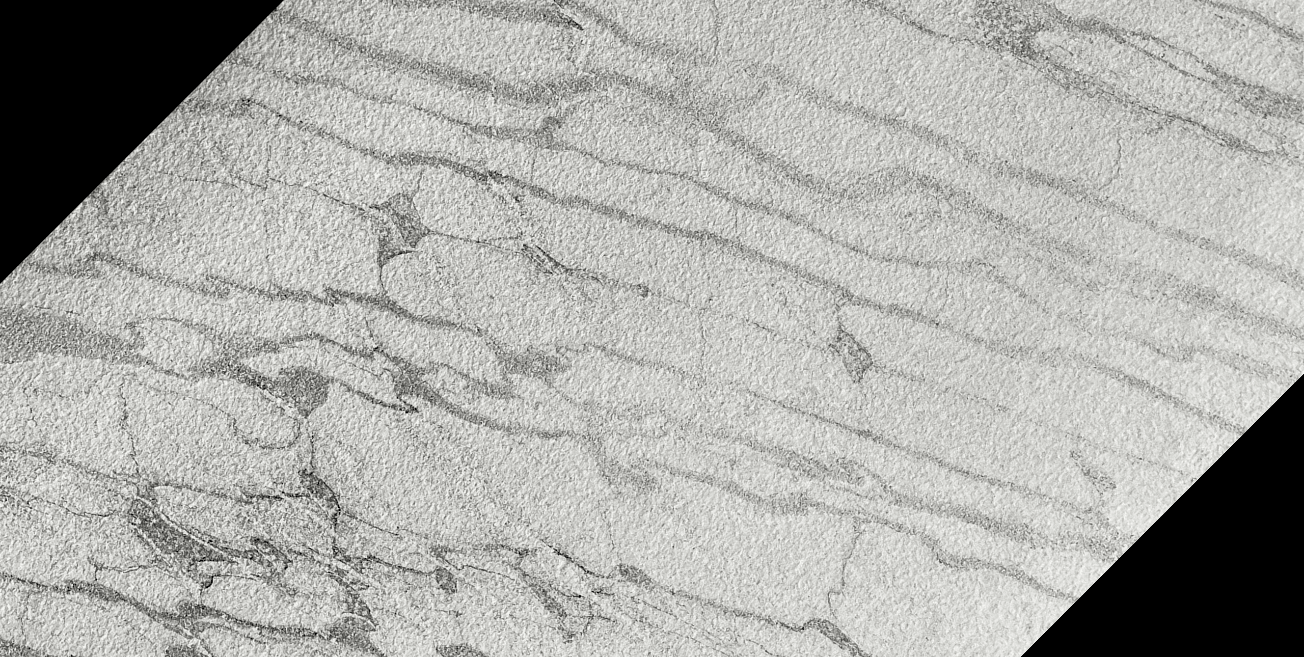 Moon Vein 45