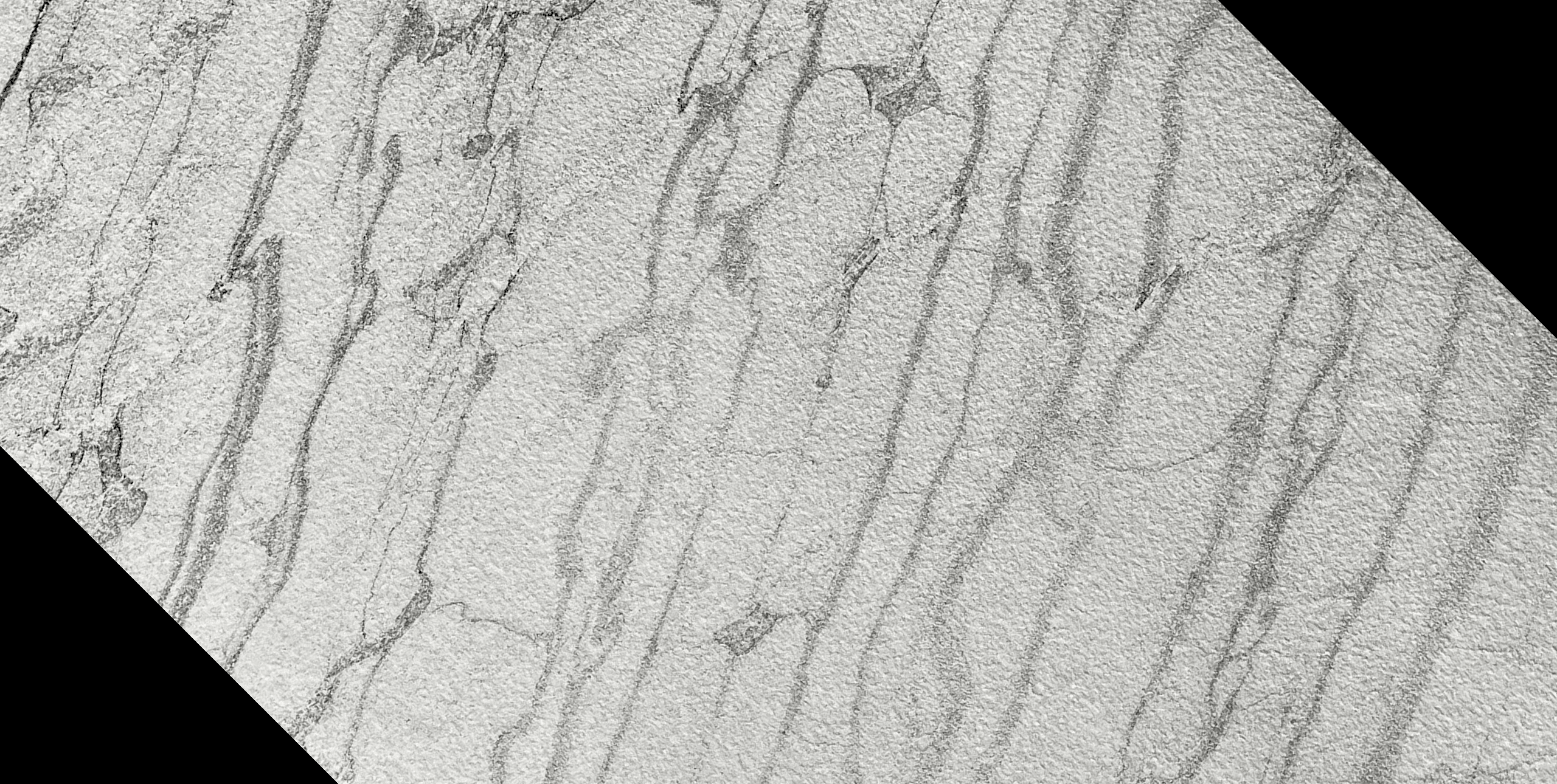 Moon Vein 315