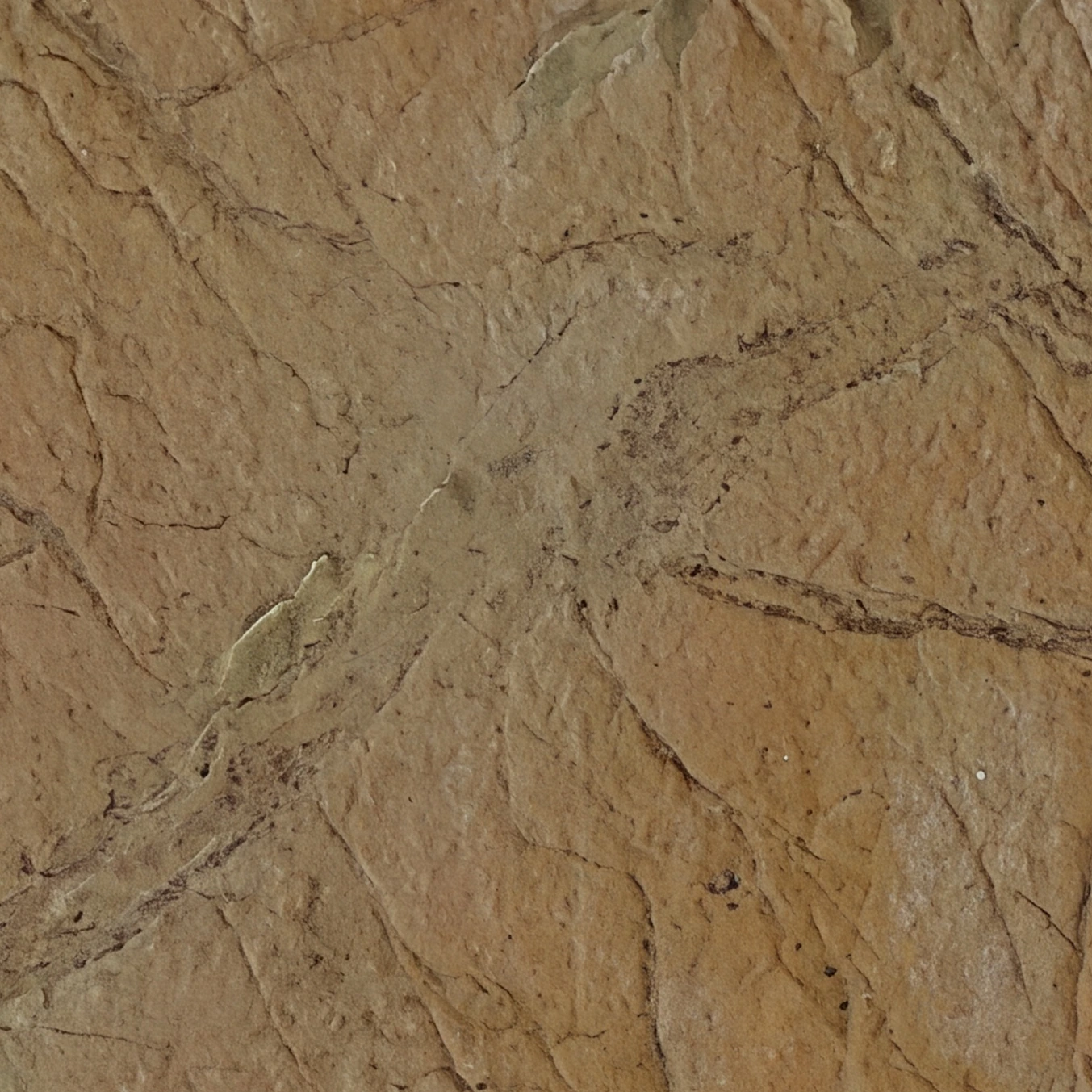 Amazonas Bronze Glow · הטקסטורה מקרוב