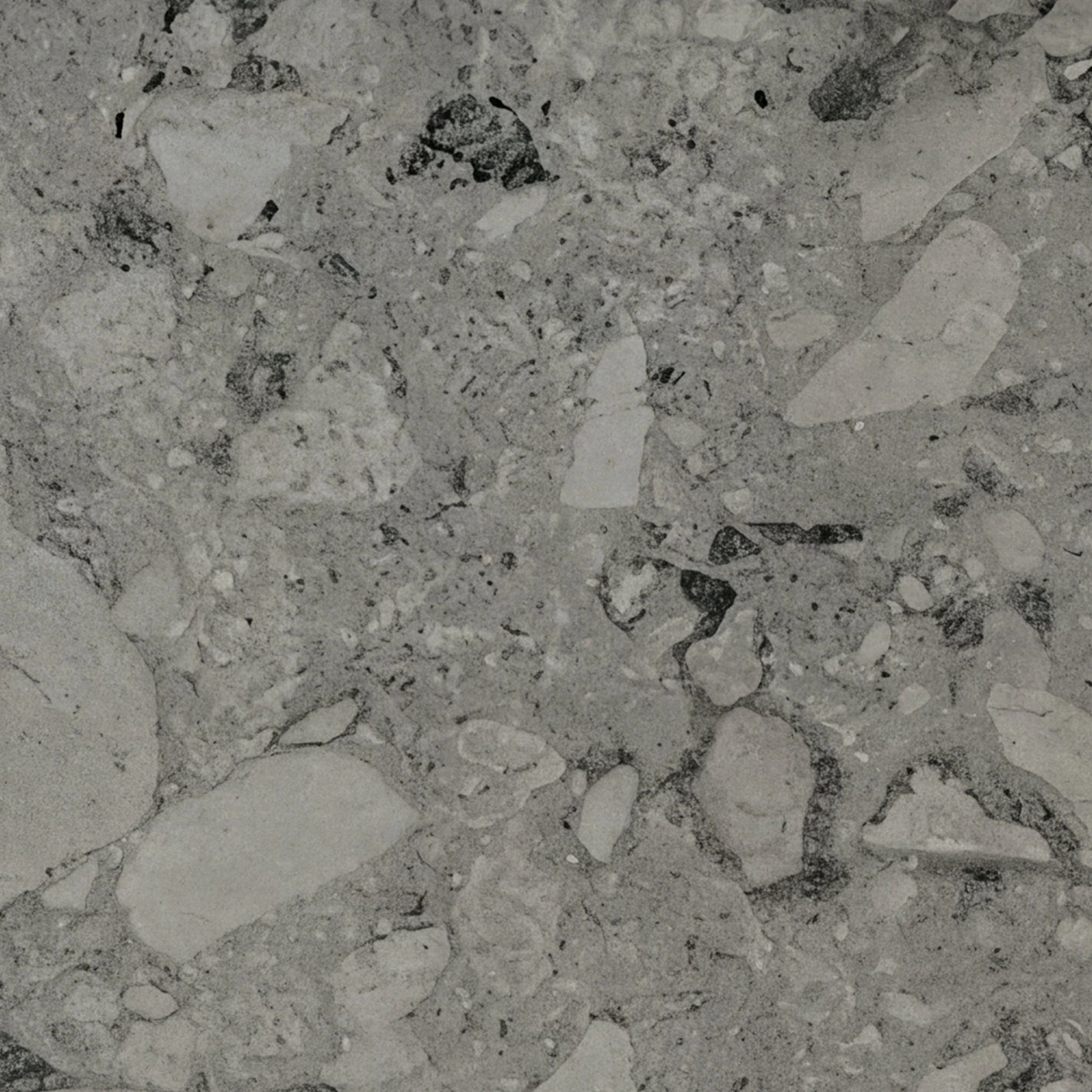 Shore · הטקסטורה מקרוב