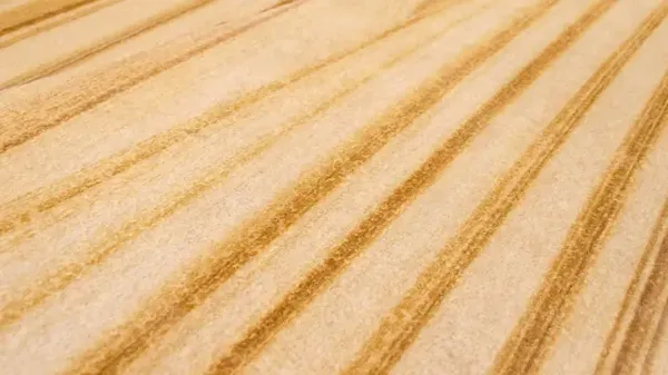 Golden Teak · הטקסטורה מקרוב