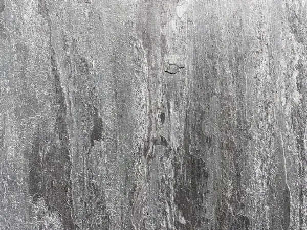 Ash Limestone · הטקסטורה מקרוב