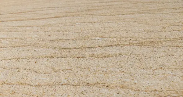 Beige Travertine · הטקסטורה מקרוב