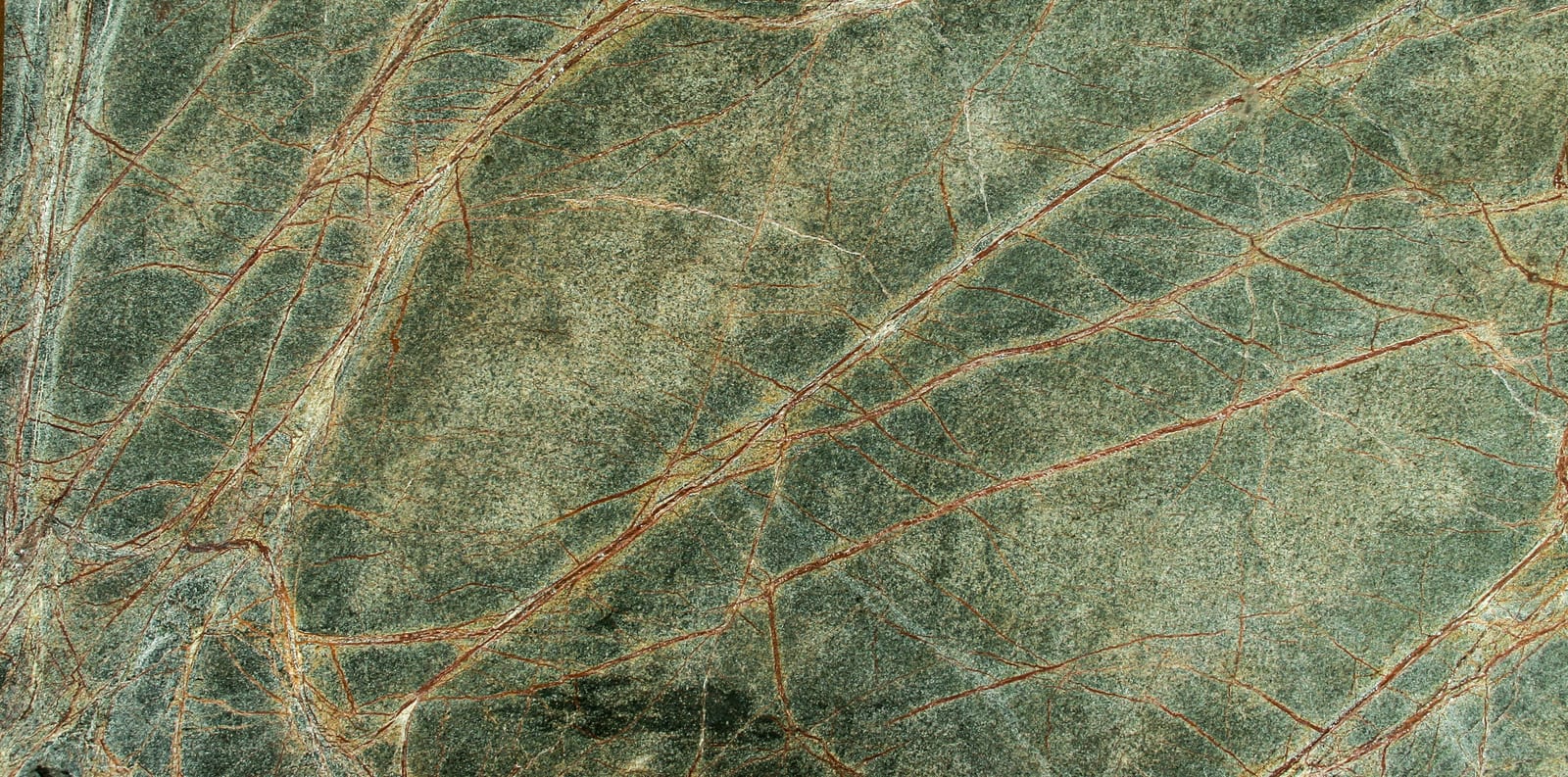 Amazonia Emerald, צילום אמיתי של הלוח