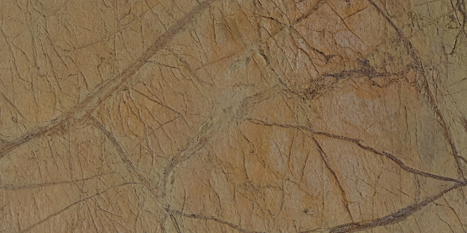 Amazonas Bronze Glow · מרקם החומר המקורי