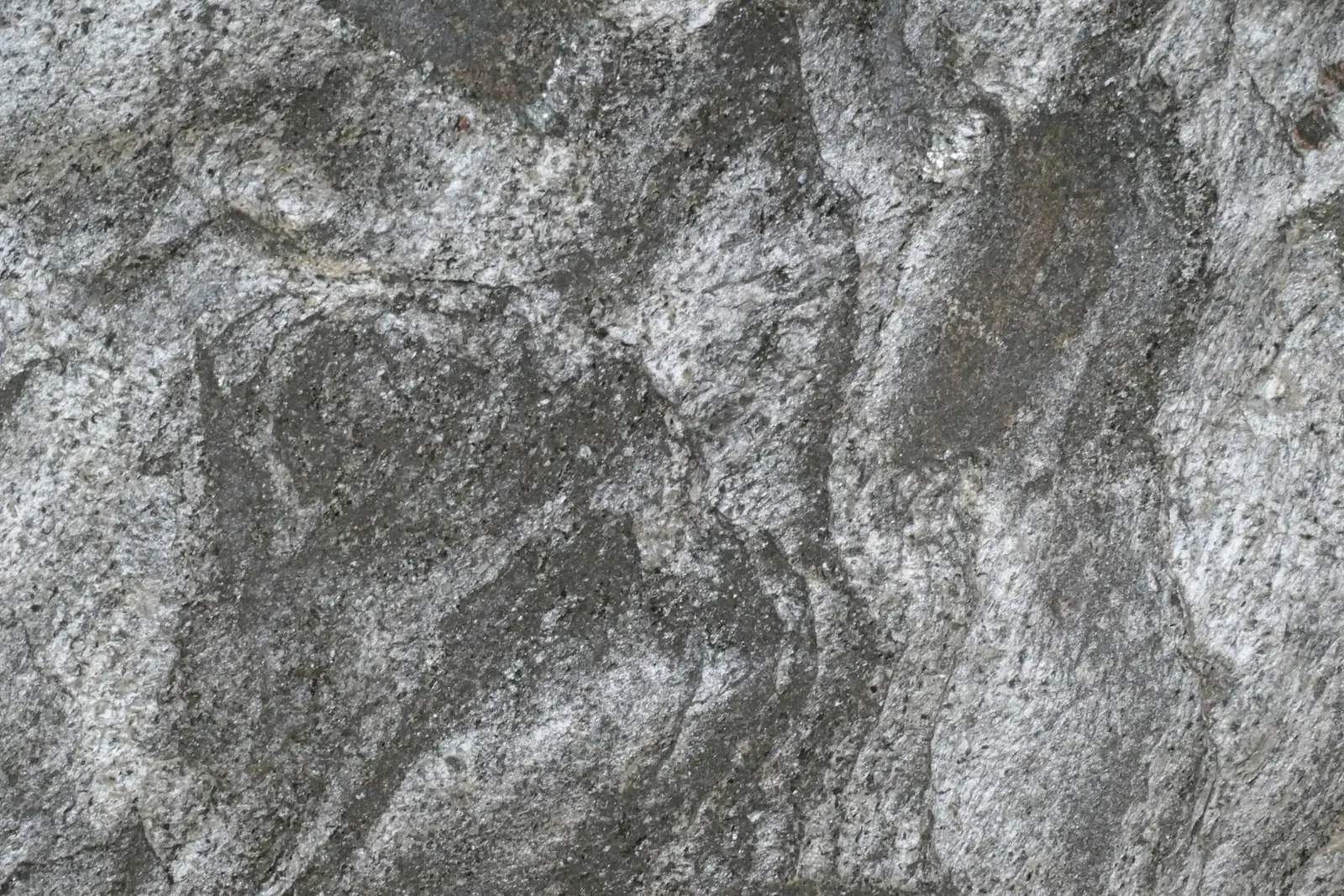 Carbon Mesh
